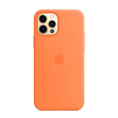 Силіконовий чохол Apple Silicone Case MagSafe Pistachio (MK003) для iPhone 12 | 12 Pro MK023 фото