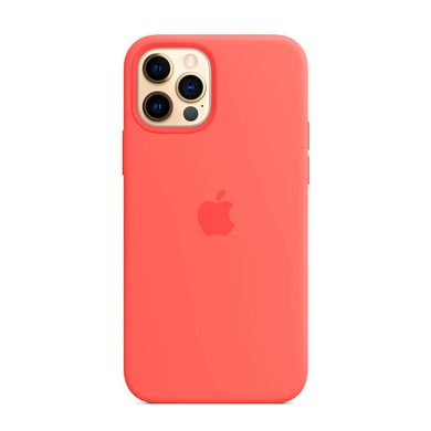 Силіконовий чохол Apple Silicone Case MagSafe Capri Blue (MJYY3) для iPhone 12 | 12 Pro MK023 фото